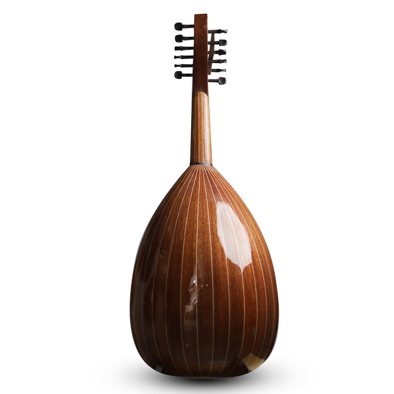 Oud acoustique-AN4