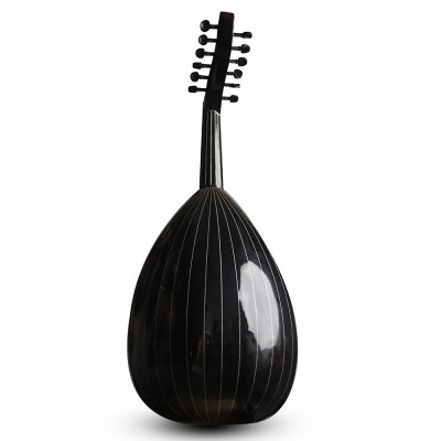 Oud acoustique-AN4