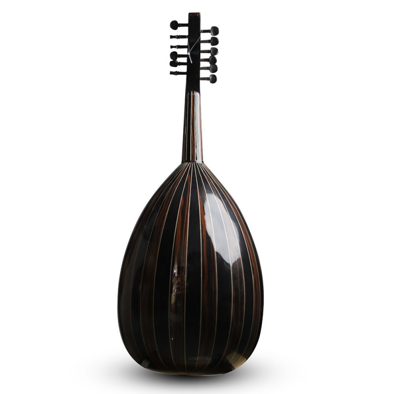 Oud acoustique-AN4