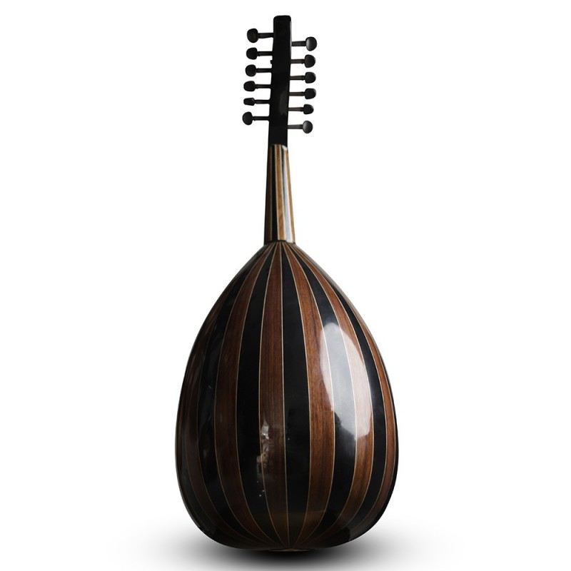 AN4-Oud acoustique