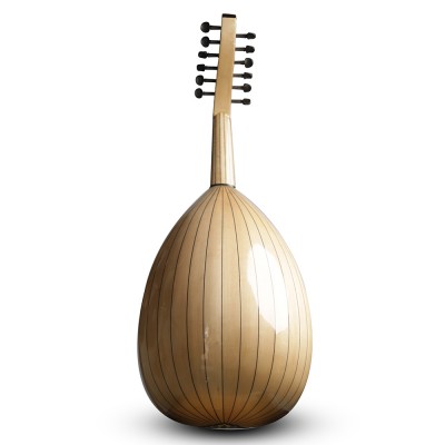 Oud acoustique-AN4