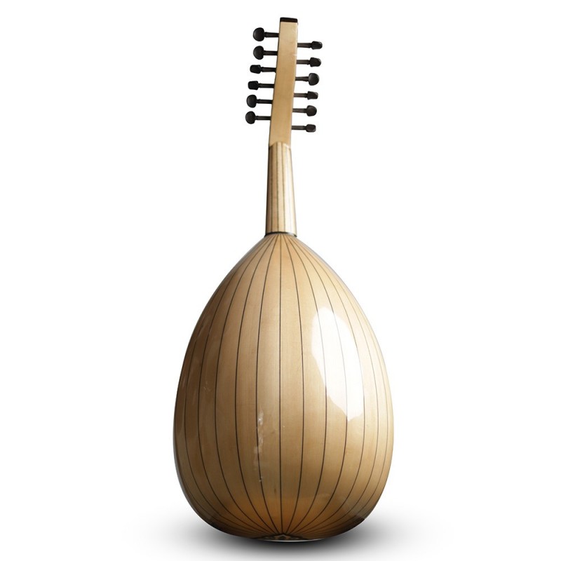 Oud acoustique-AN4
