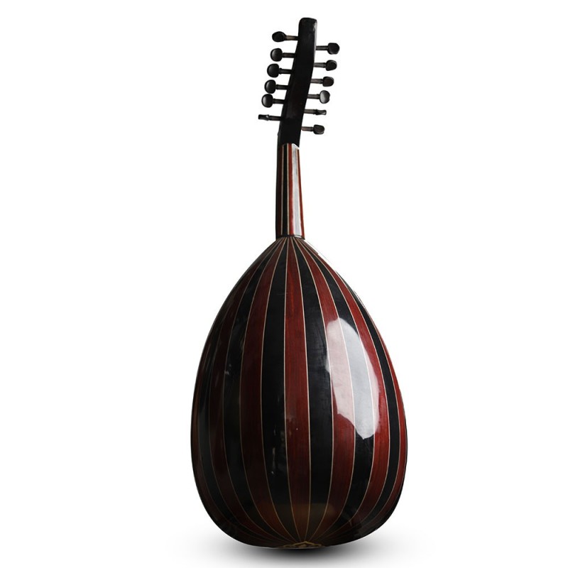 Oud acoustique-AN4