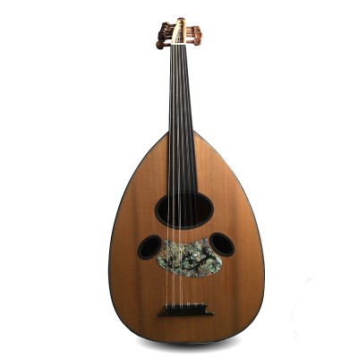 Oud acoustique- AN1 2