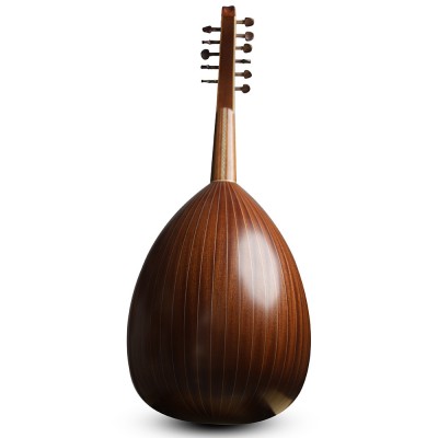 Oud acoustique- AN1