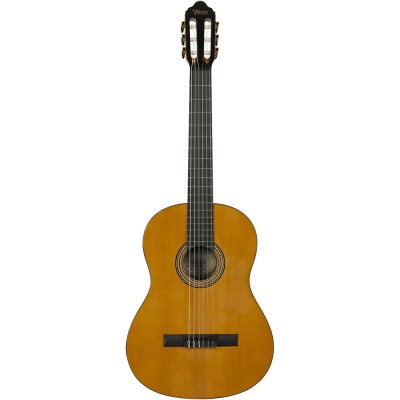 Valencia -VC264, Guitare...