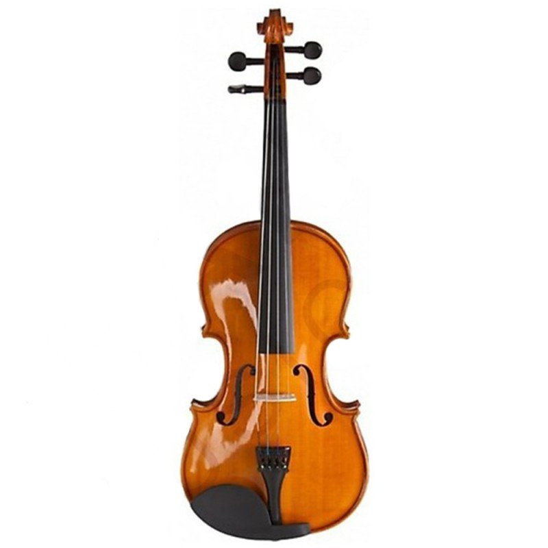 SWING-VIOLON acoustique  SV-144