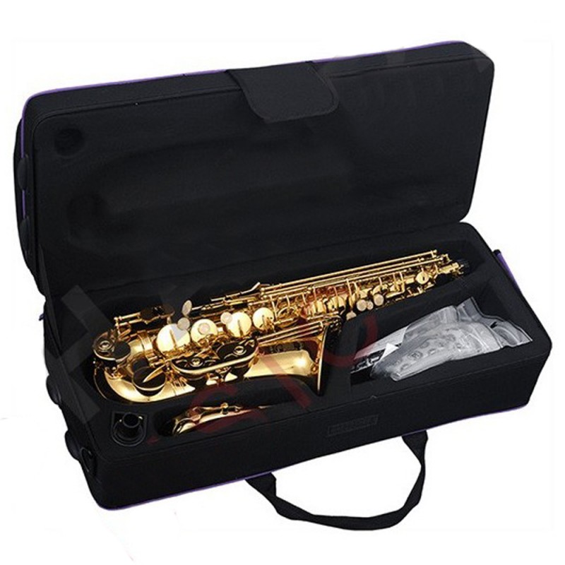 SAXOPHONE SMLPARIS ALTO MIB Débutant...