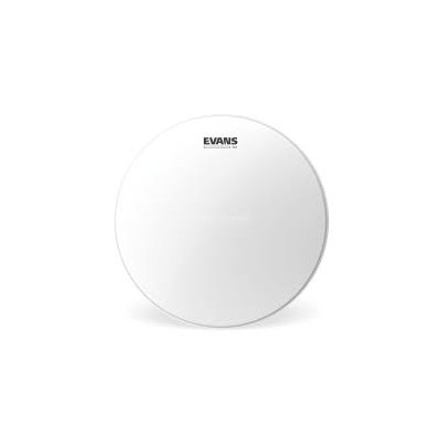 EVANS BD22G2CW 22" G2...