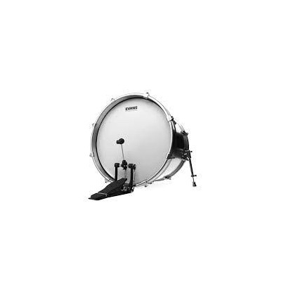 EVANS BD22G2CW 22" G2... 2