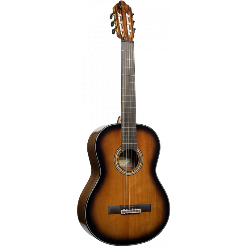 Valencia VC564 4/4 dégradé Guitare...