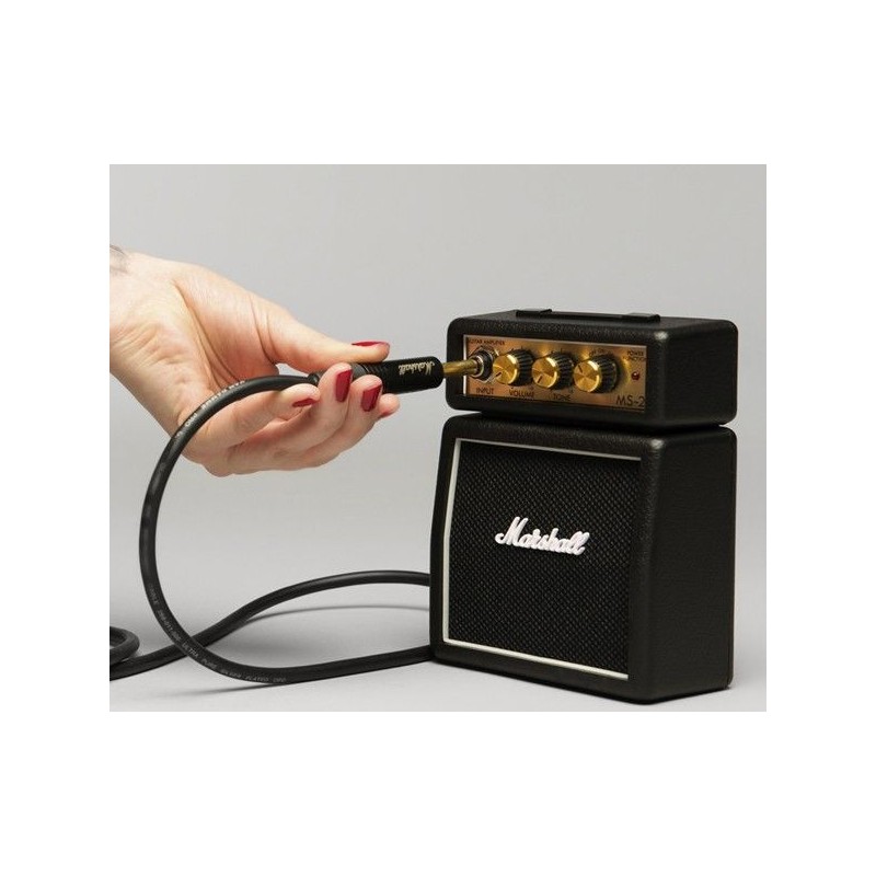 MINI-AMPLI Marshall MS2 2W