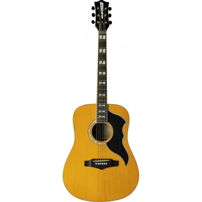 Eko- Ranger VR Natural, Guitare...