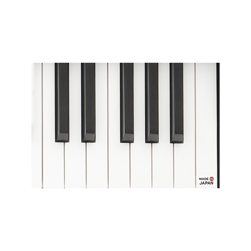 Korg Piano LP380U BK, Piano numérique