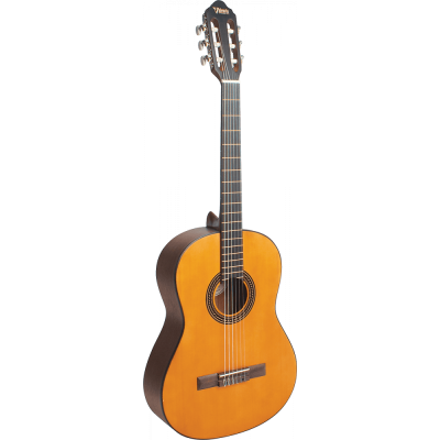 Valencia- VC204, Guitare...