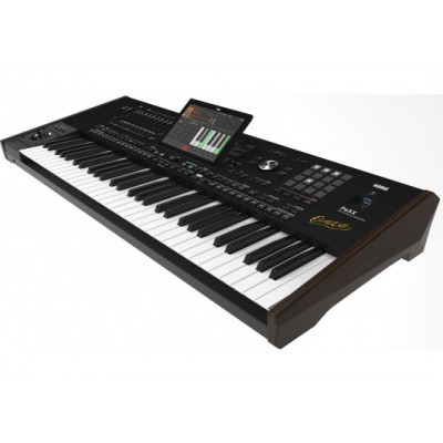 Korg Clavier arrangeur Pa5X... 2