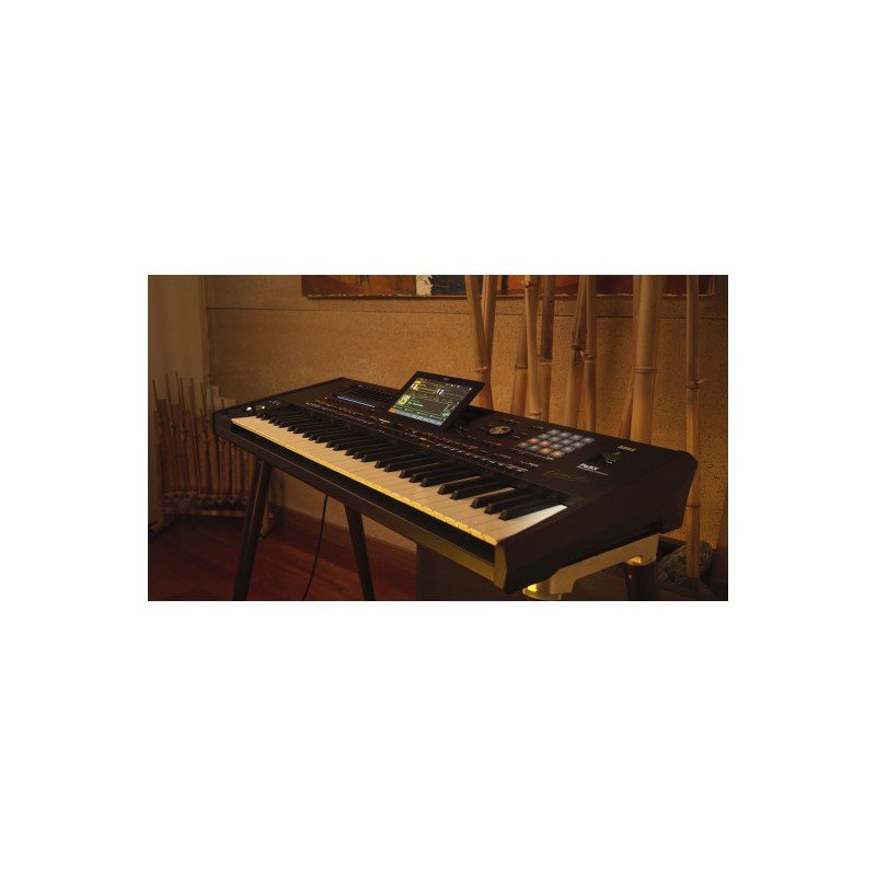 Korg Clavier arrangeur Pa5X Oriental...