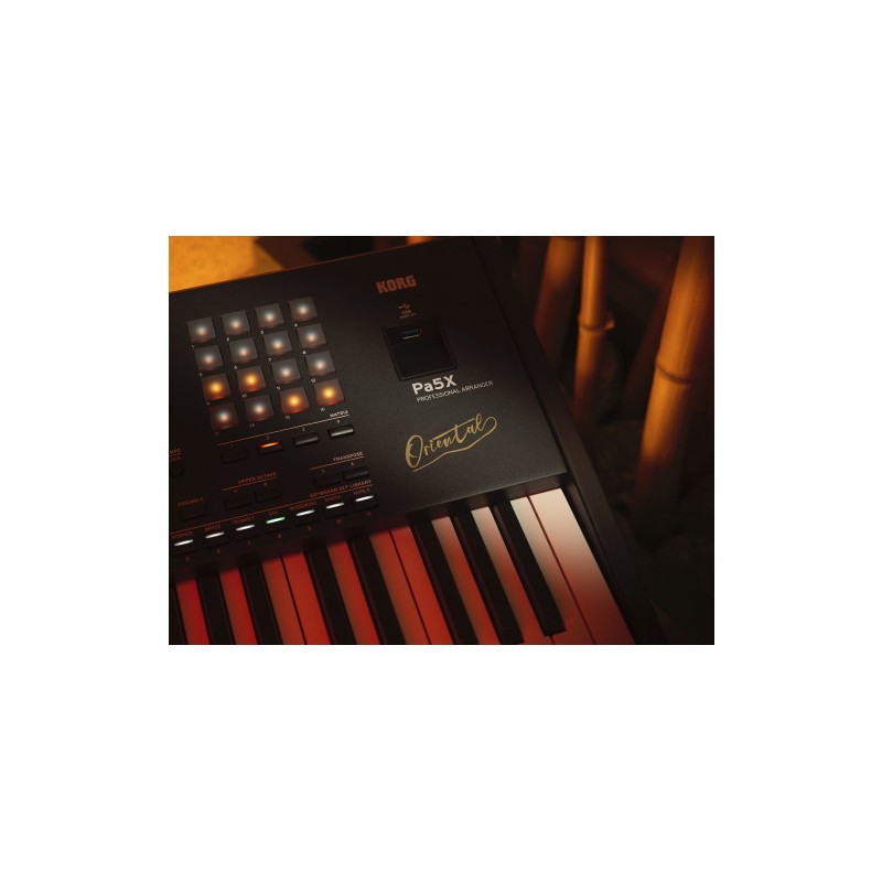 Korg Clavier arrangeur Pa5X Oriental...
