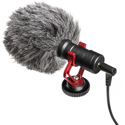 Microphone de caméra...