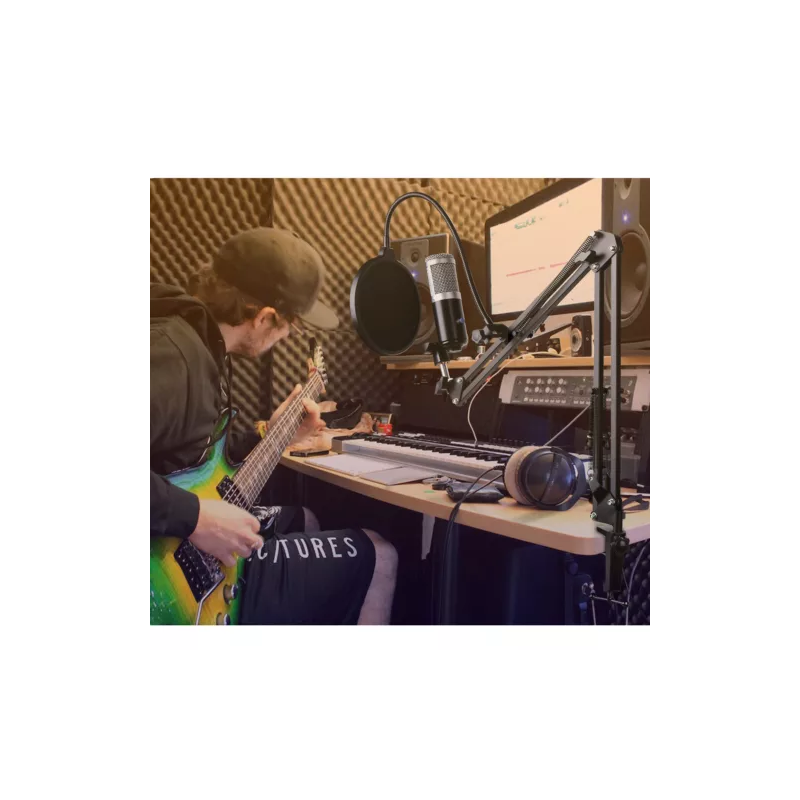 micro stand recording