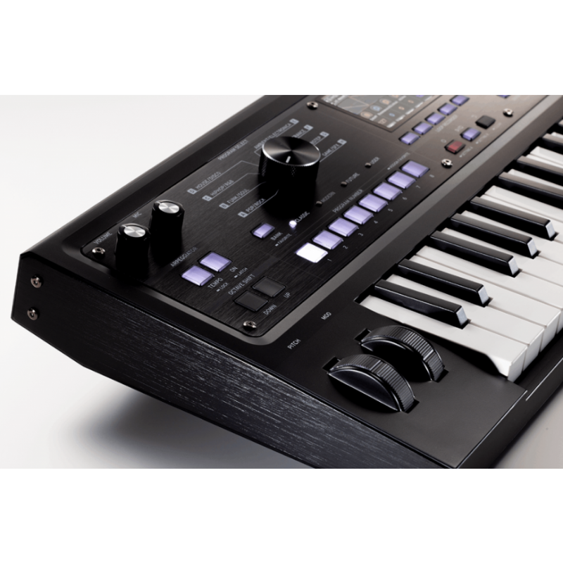Korg Synthé/Vocodeur mini-touches...