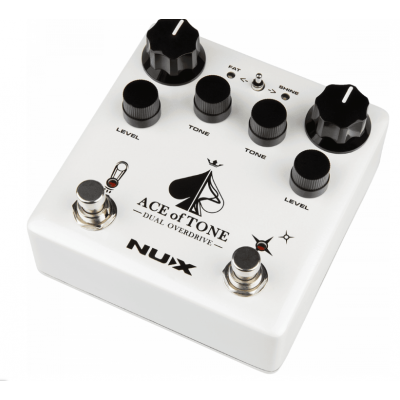 Nux Ace of Tone dual... 2