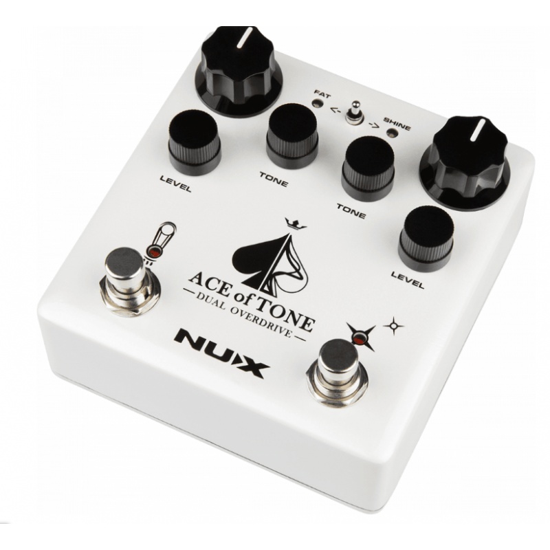 Nux Ace of Tone dual...