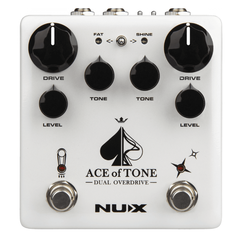 Nux Ace of Tone dual...