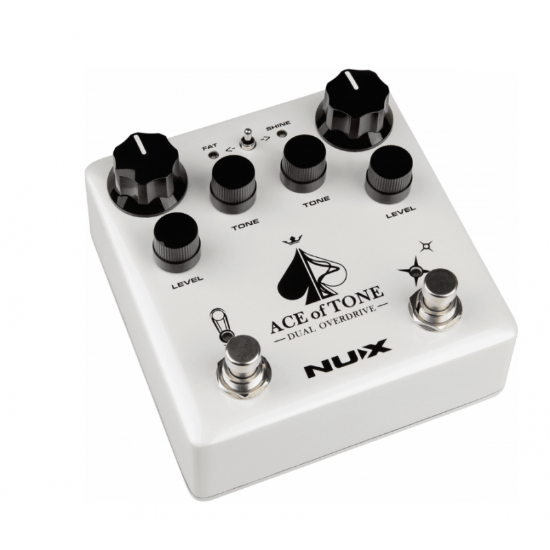 Nux Ace of Tone dual...
