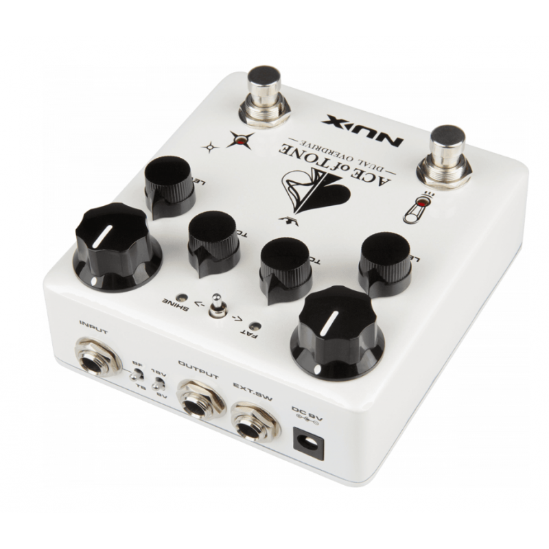 Nux Ace of Tone dual...