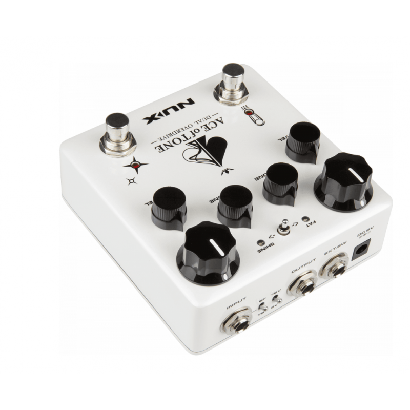 Nux Ace of Tone dual...