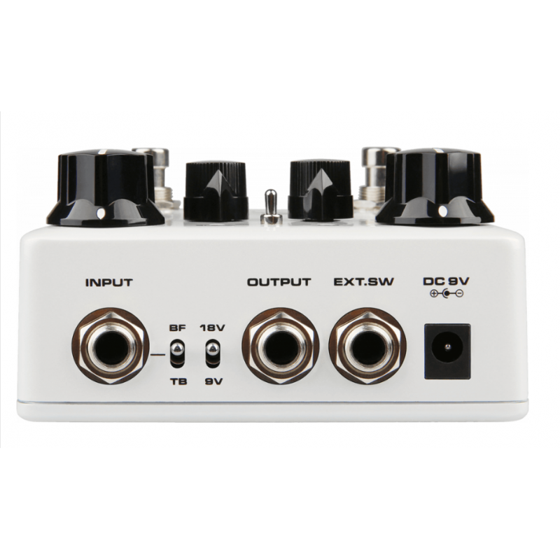 Nux Ace of Tone dual...