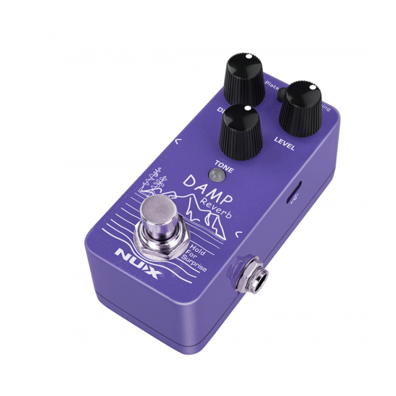 Nux Damp Reverb...