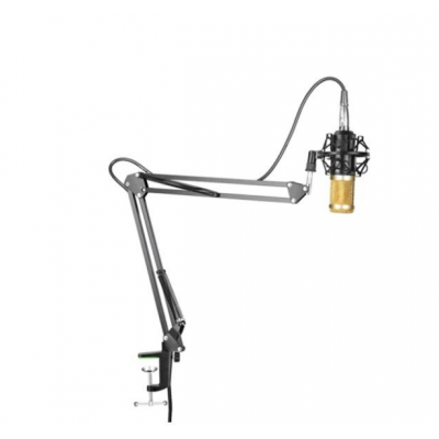 CONDENSER MICROPHONE 2