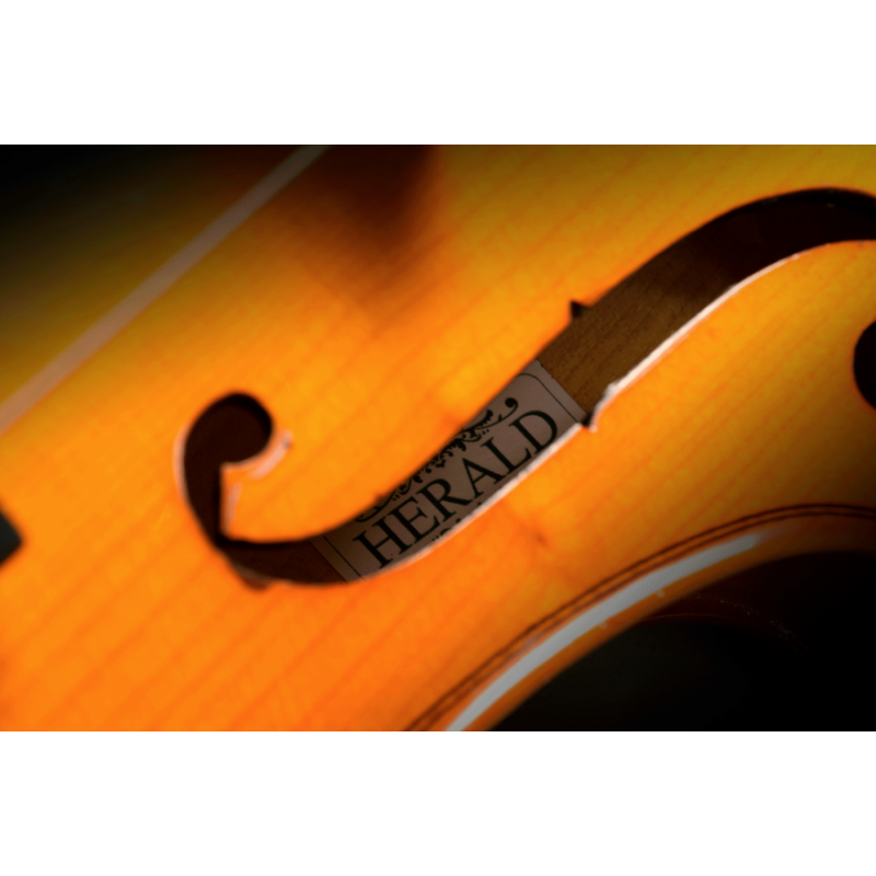 Herald Violon massif 4/4-AS144