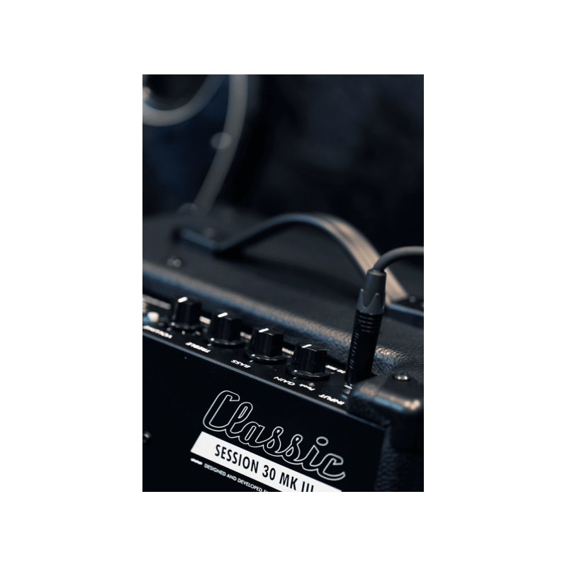 EBS Session 30 MK3 - combo 30W 1x8"+...