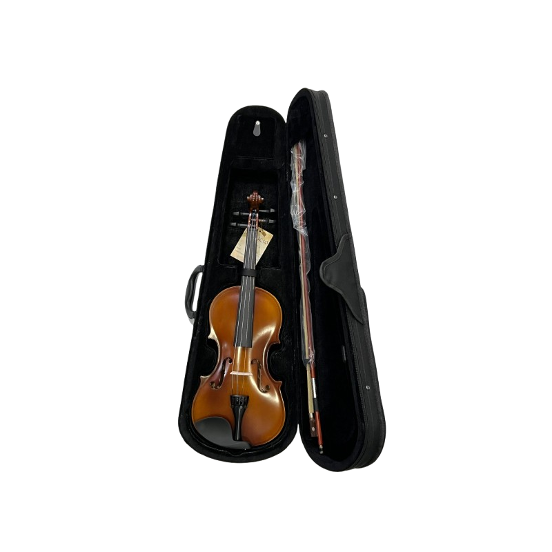 Violon Patricio 3/4