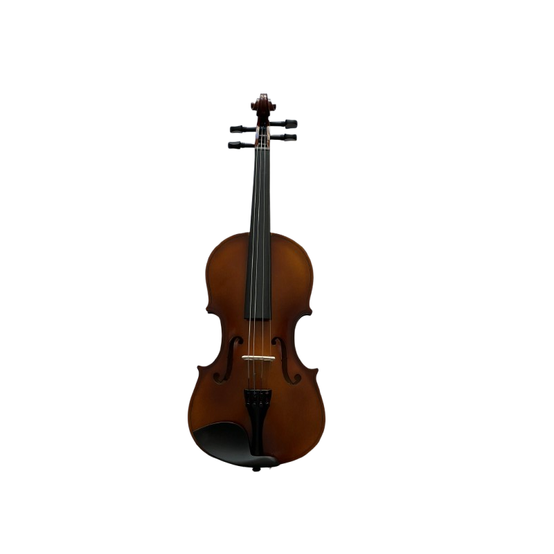 Violon Patricio 3/4