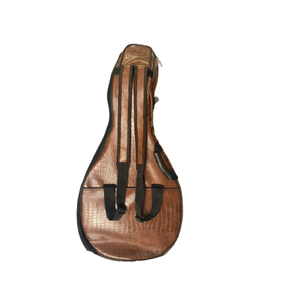 PANDORA - ETUI OUD REMBOURRÉ 2