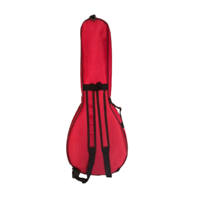 PANDORA - ETUI REMBOURRÉ... 2