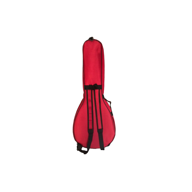 PANDORA - ETUI REMBOURRÉ POUR OUD...