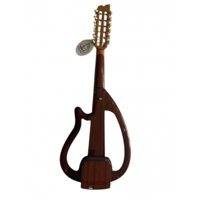oud electrique 2