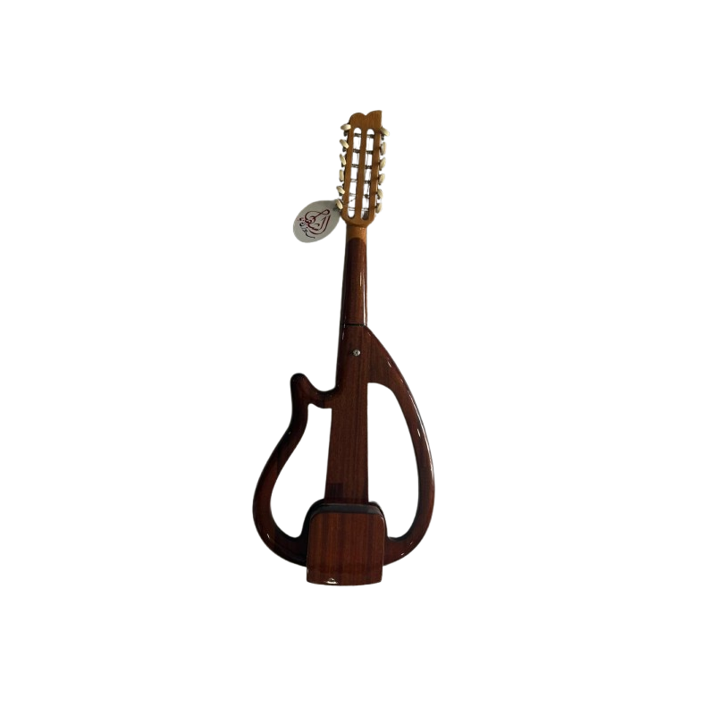oud electrique