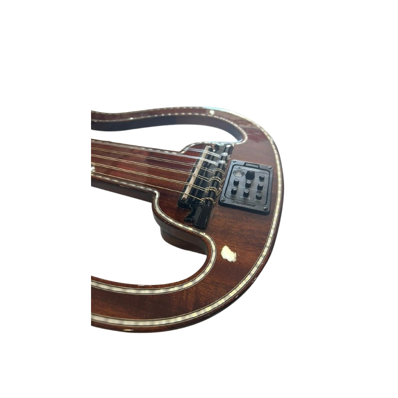 oud electrique