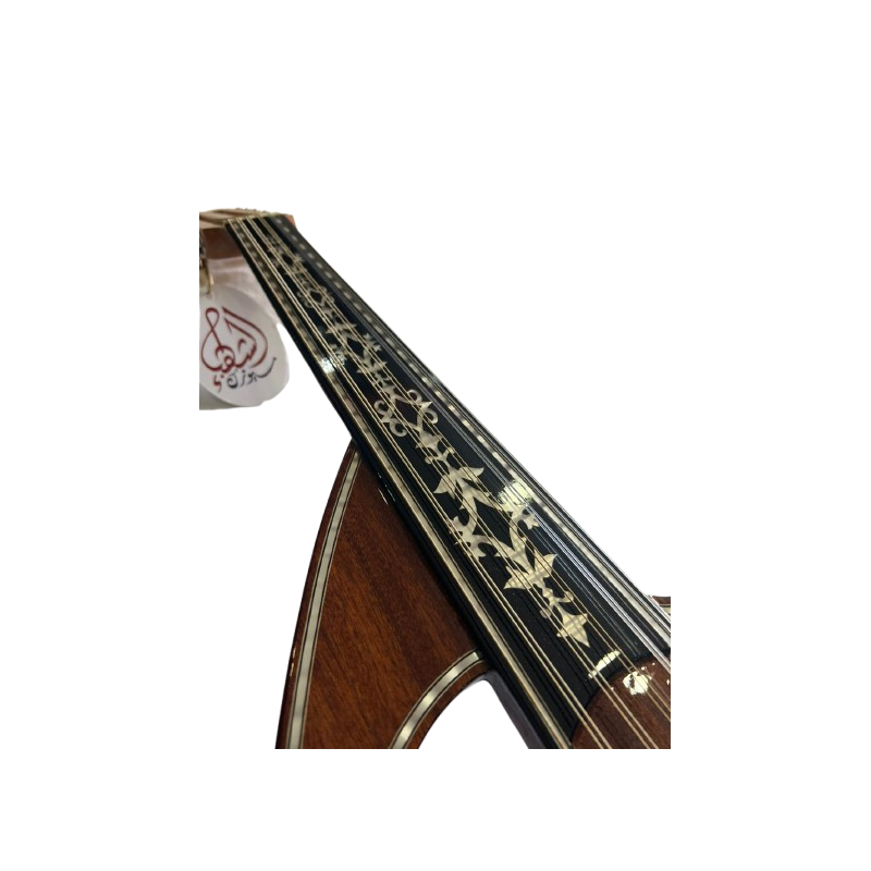 oud electrique