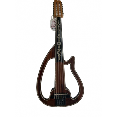 oud electrique