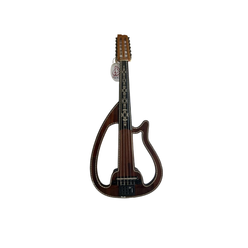 oud electrique