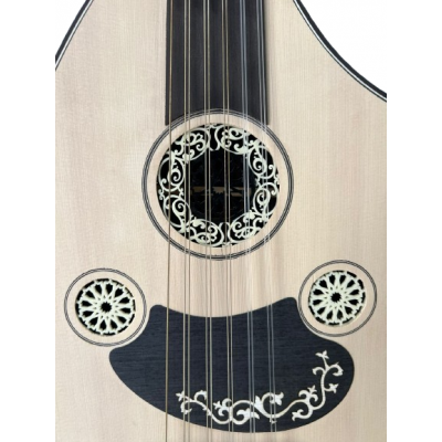 Oud E-Acoustique Fishman 2