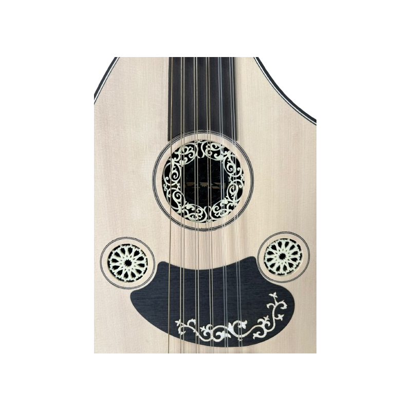 Oud E-Acoustique Fishman