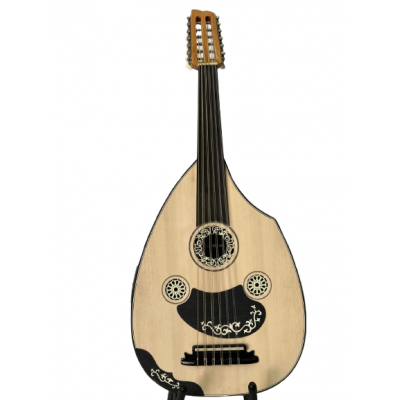 Oud E-Acoustique Fishman